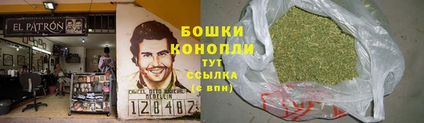 spice Алзамай