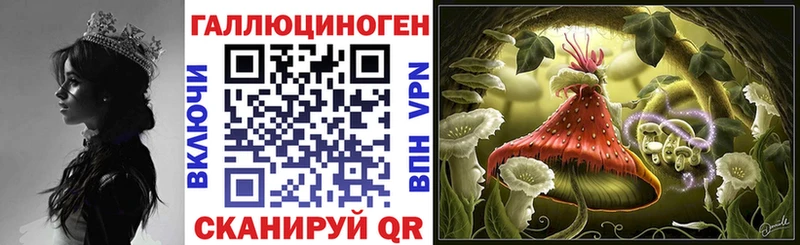 хочу наркоту  Абинск  мега ONION  Галлюциногенные грибы MAGIC MUSHROOMS 